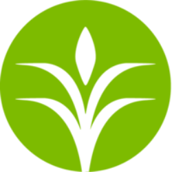 CF Valuation Report 2026-06-01